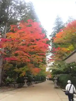 壇上伽藍のその他建物