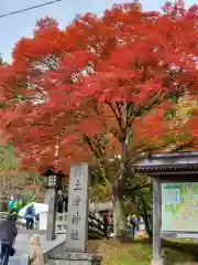 土津神社｜こどもと出世の神さま(福島県)