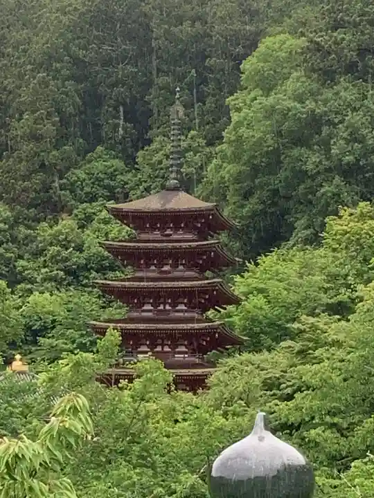 長谷寺(奈良県)