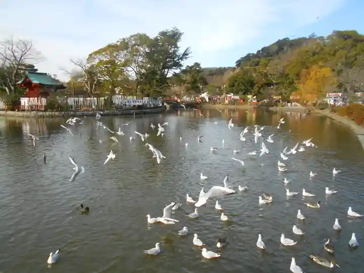 鶴岡八幡宮の景色