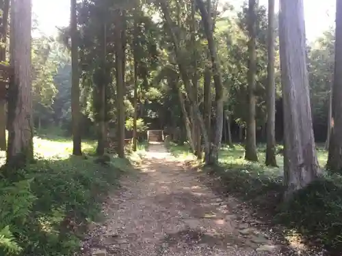 小富士山神社の自然