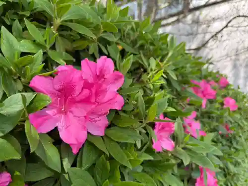 美奈宜神社(福岡県)