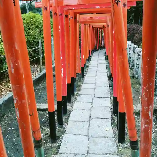 根津神社の鳥居