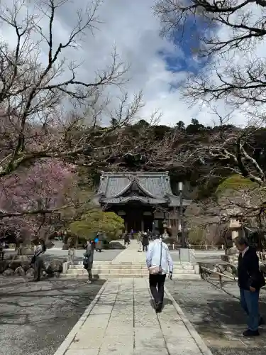 修禅寺の{uncategorized: "未分類", other: "その他", undefined: "問題あり", building: "その他建物", grave: "お墓", sacred_gate: "鳥居", guardian: "狛犬", statue: "像", buddha: "仏像", history: "歴史", nature: "自然", garden: "庭園", animal: "動物", pagoda: "塔", temizu: "手水舎", mountain_gate: "山門・神門", sanctuary: "本殿・本堂", subordinate: "末社・摂社", art: "芸術", scenery: "景色", jizo: "地蔵", ema: "絵馬", goshuin: "御朱印", omikuji: "おみくじ", items: "授与品その他", amulet: "お守り", goshuincho: "御朱印帳", eats: "食事", festival: "お祭り", votive_dance: "神楽", shichigosan: "七五三参", wedding: "結婚式", experience: "体験その他", initially: "初詣", around: "周辺", anti_infection: "感染症対策"}