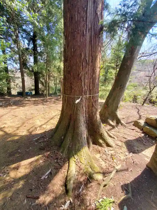 鹿島神社 本殿(栃木県)