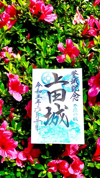 眞田神社(長野県)