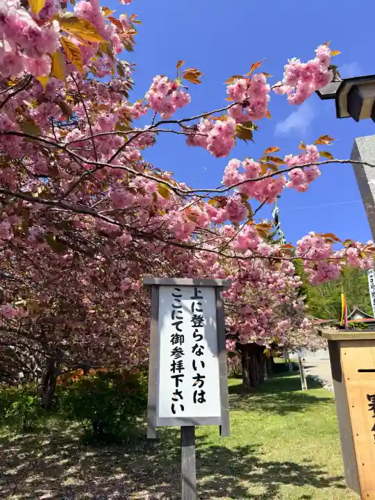 石崎地主海神社の{uncategorized: "未分類", other: "その他", undefined: "問題あり", building: "その他建物", grave: "お墓", sacred_gate: "鳥居", guardian: "狛犬", statue: "像", buddha: "仏像", history: "歴史", nature: "自然", garden: "庭園", animal: "動物", pagoda: "塔", temizu: "手水舎", mountain_gate: "山門・神門", sanctuary: "本殿・本堂", subordinate: "末社・摂社", art: "芸術", scenery: "景色", jizo: "地蔵", ema: "絵馬", goshuin: "御朱印", omikuji: "おみくじ", items: "授与品その他", amulet: "お守り", goshuincho: "御朱印帳", eats: "食事", festival: "お祭り", votive_dance: "神楽", shichigosan: "七五三参", wedding: "結婚式", experience: "体験その他", initially: "初詣", around: "周辺", anti_infection: "感染症対策"}