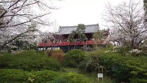 清水観音堂(東京都)