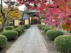 豪徳寺の建物その他