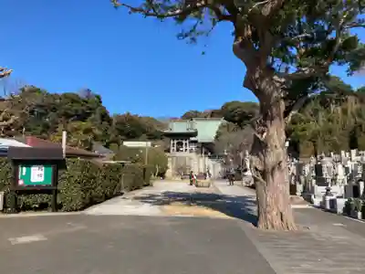 圓福寺（円福寺）のその他建物