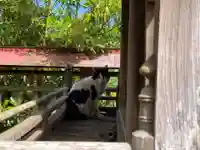 稲荷神社の動物