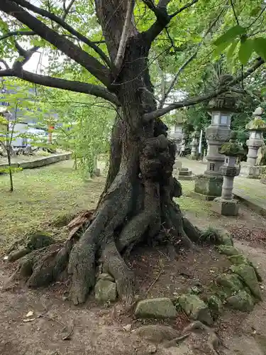 神炊館神社 ⁂奥州須賀川総鎮守⁂の自然