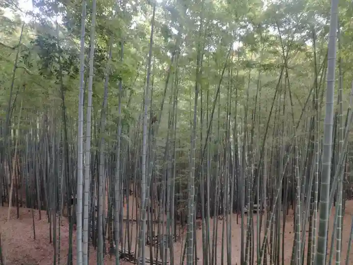 石清水八幡宮(京都府)