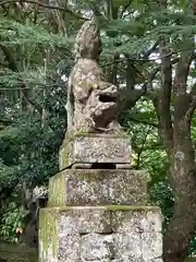 鰐淵寺(島根県)