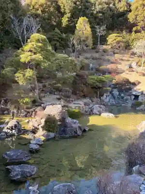 能仁寺の{uncategorized: "未分類", other: "その他", undefined: "問題あり", building: "その他建物", grave: "お墓", sacred_gate: "鳥居", guardian: "狛犬", statue: "像", buddha: "仏像", history: "歴史", nature: "自然", garden: "庭園", animal: "動物", pagoda: "塔", temizu: "手水舎", mountain_gate: "山門・神門", sanctuary: "本殿・本堂", subordinate: "末社・摂社", art: "芸術", scenery: "景色", jizo: "地蔵", ema: "絵馬", goshuin: "御朱印", omikuji: "おみくじ", items: "授与品その他", amulet: "お守り", goshuincho: "御朱印帳", eats: "食事", festival: "お祭り", votive_dance: "神楽", shichigosan: "七五三参", wedding: "結婚式", experience: "体験その他", initially: "初詣", around: "周辺", anti_infection: "感染症対策"}