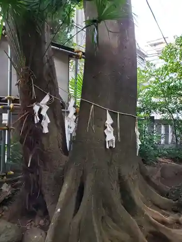 神明氷川神社の自然