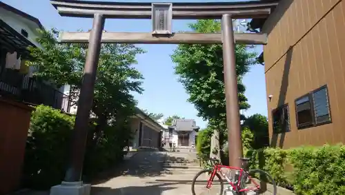 白幡神社の鳥居