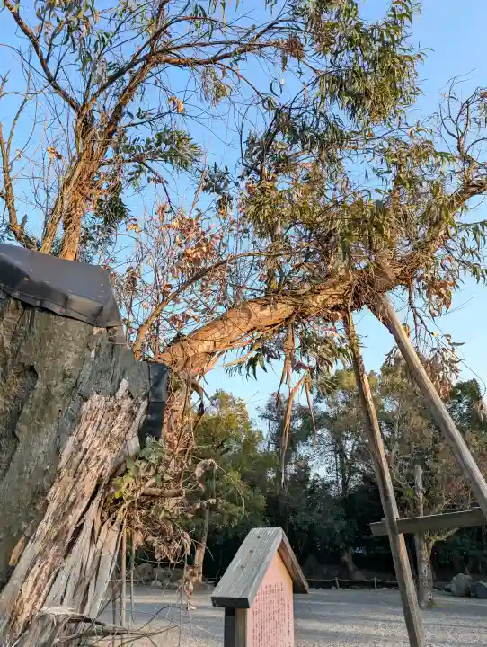 氣比神宮の{uncategorized: "未分類", other: "その他", undefined: "問題あり", building: "その他建物", grave: "お墓", sacred_gate: "鳥居", guardian: "狛犬", statue: "像", buddha: "仏像", history: "歴史", nature: "自然", garden: "庭園", animal: "動物", pagoda: "塔", temizu: "手水舎", mountain_gate: "山門・神門", sanctuary: "本殿・本堂", subordinate: "末社・摂社", art: "芸術", scenery: "景色", jizo: "地蔵", ema: "絵馬", goshuin: "御朱印", omikuji: "おみくじ", items: "授与品その他", amulet: "お守り", goshuincho: "御朱印帳", eats: "食事", festival: "お祭り", votive_dance: "神楽", shichigosan: "七五三参", wedding: "結婚式", experience: "体験その他", initially: "初詣", around: "周辺", anti_infection: "感染症対策"}