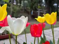 大宮温泉神社の自然
