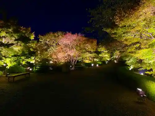 東寺（教王護国寺）(京都府)