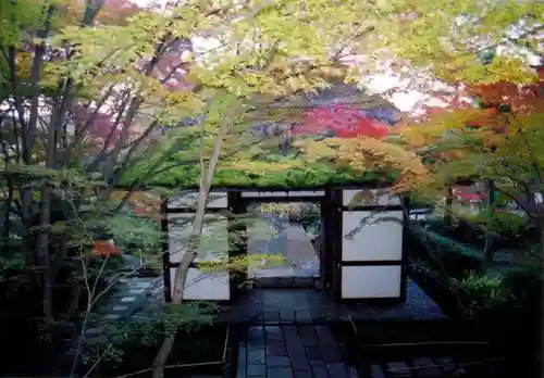 常寂光寺の景色