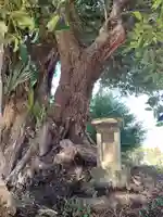 熊野神社(千葉県)