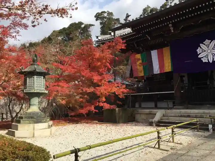 禅林寺(永観堂)の本殿・本堂