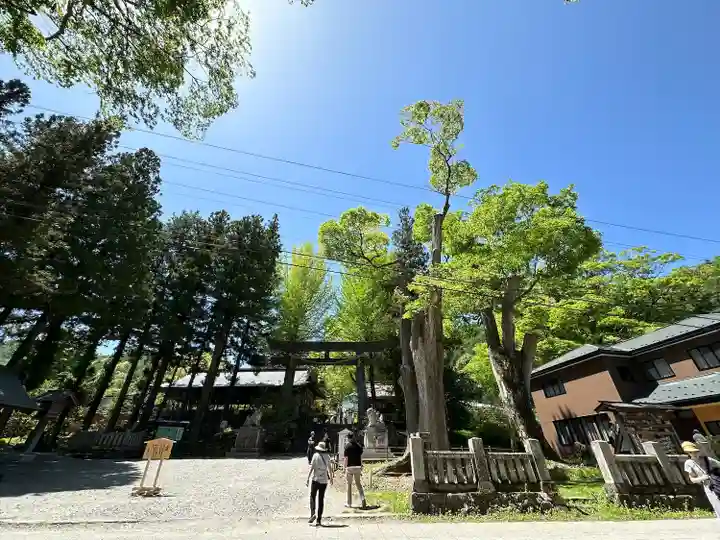 諏訪大社下社春宮(長野県)
