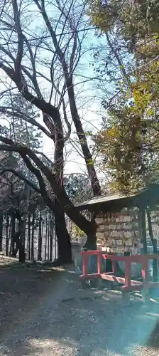 前原御嶽神社の{uncategorized: "未分類", other: "その他", undefined: "問題あり", building: "その他建物", grave: "お墓", sacred_gate: "鳥居", guardian: "狛犬", statue: "像", buddha: "仏像", history: "歴史", nature: "自然", garden: "庭園", animal: "動物", pagoda: "塔", temizu: "手水舎", mountain_gate: "山門・神門", sanctuary: "本殿・本堂", subordinate: "末社・摂社", art: "芸術", scenery: "景色", jizo: "地蔵", ema: "絵馬", goshuin: "御朱印", omikuji: "おみくじ", items: "授与品その他", amulet: "お守り", goshuincho: "御朱印帳", eats: "食事", festival: "お祭り", votive_dance: "神楽", shichigosan: "七五三参", wedding: "結婚式", experience: "体験その他", initially: "初詣", around: "周辺", anti_infection: "感染症対策"}