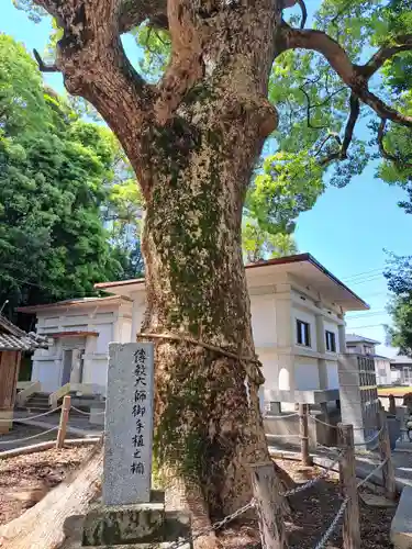 聖福寺の自然