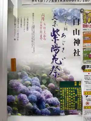 白山神社(東京都)