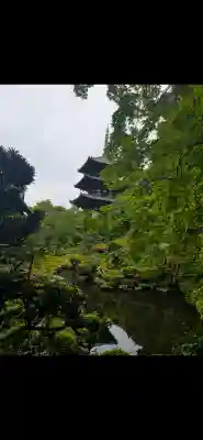 當麻寺の{uncategorized: "未分類", other: "その他", undefined: "問題あり", building: "その他建物", grave: "お墓", sacred_gate: "鳥居", guardian: "狛犬", statue: "像", buddha: "仏像", history: "歴史", nature: "自然", garden: "庭園", animal: "動物", pagoda: "塔", temizu: "手水舎", mountain_gate: "山門・神門", sanctuary: "本殿・本堂", subordinate: "末社・摂社", art: "芸術", scenery: "景色", jizo: "地蔵", ema: "絵馬", goshuin: "御朱印", omikuji: "おみくじ", items: "授与品その他", amulet: "お守り", goshuincho: "御朱印帳", eats: "食事", festival: "お祭り", votive_dance: "神楽", shichigosan: "七五三参", wedding: "結婚式", experience: "体験その他", initially: "初詣", around: "周辺", anti_infection: "感染症対策"}