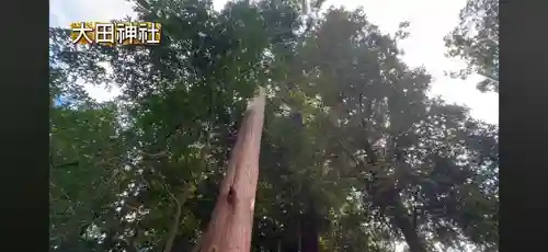 太田神社(京都府)