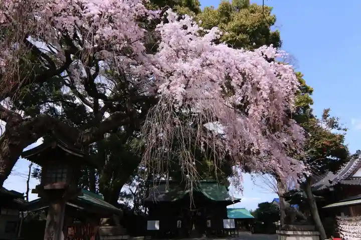 三島八幡神社の景色