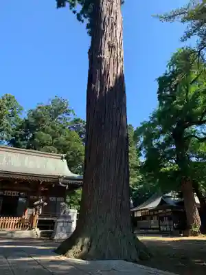大戸神社(千葉県)