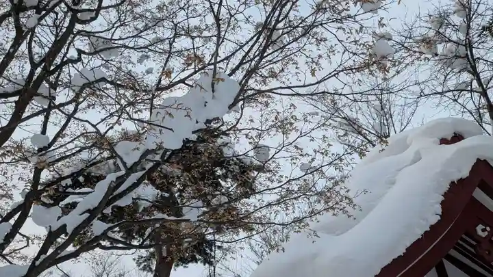 六號神社(鷹栖神社)の自然