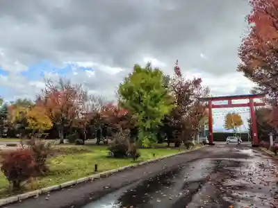 美瑛神社の庭園