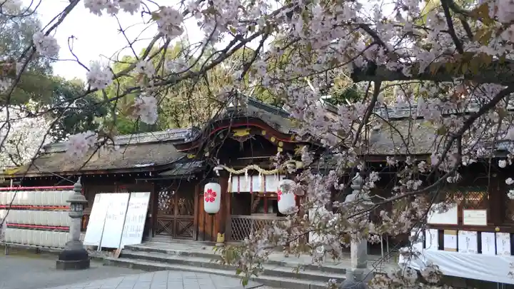 平野神社の本殿・本堂