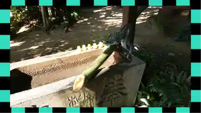 柏諏訪神社(千葉県)