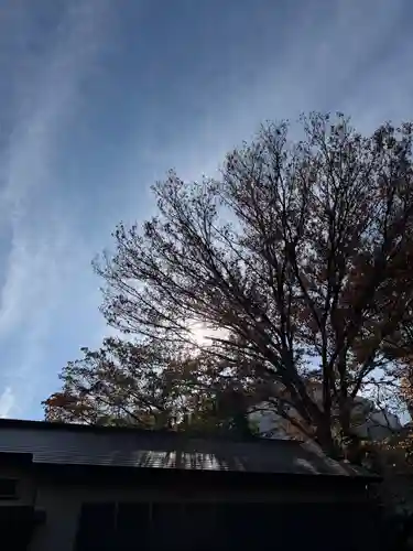 日吉神社(神奈川県)