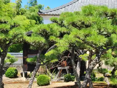 保壽院（保寿院）の建物その他