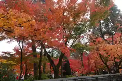 禅林寺(永観堂)(京都府)