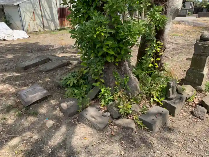 観音寺(千葉県)