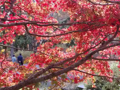 古峯神社の庭園