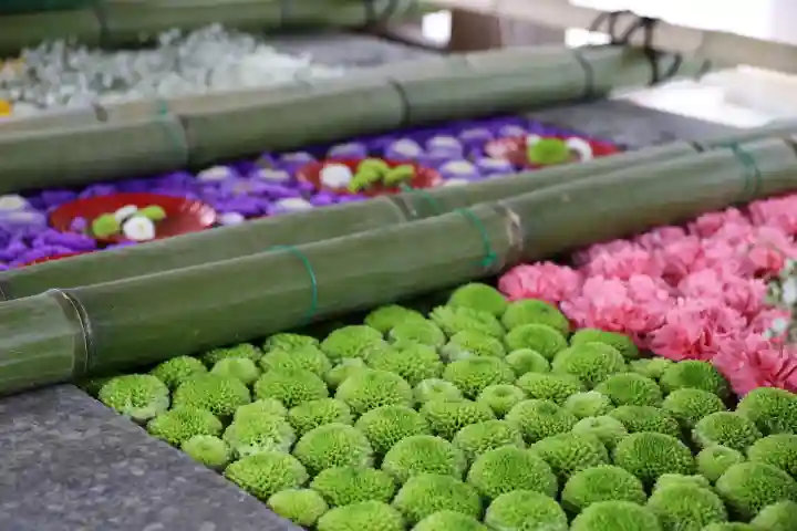 多賀神社(福岡県)