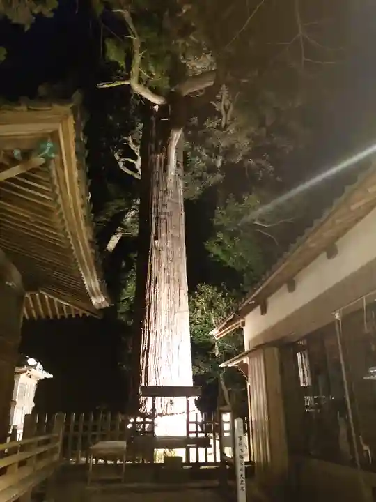 事任八幡宮の自然