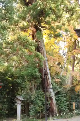 香取神宮(千葉県)