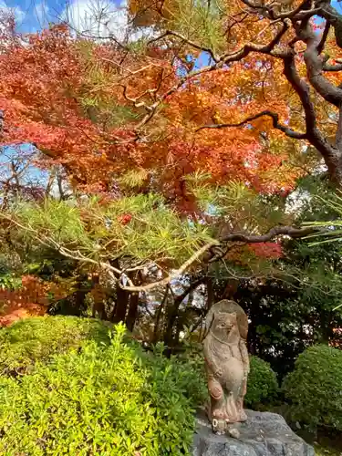 華厳寺（鈴虫寺）の像