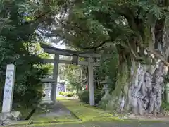 阿志都彌神社・行過天満宮の自然