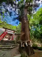 磐椅神社の自然